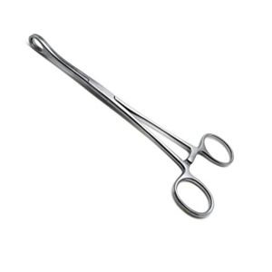 Buy Foerster Sponge Forceps, Oval Tips with serrations, Straight, 9.5", 5 pack