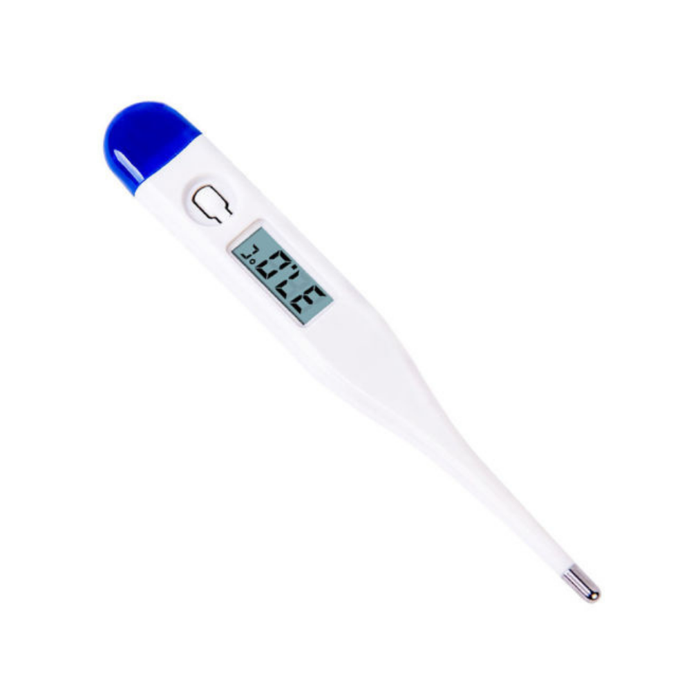 Buy Hard Tip Digital Thermometer, 1 pack